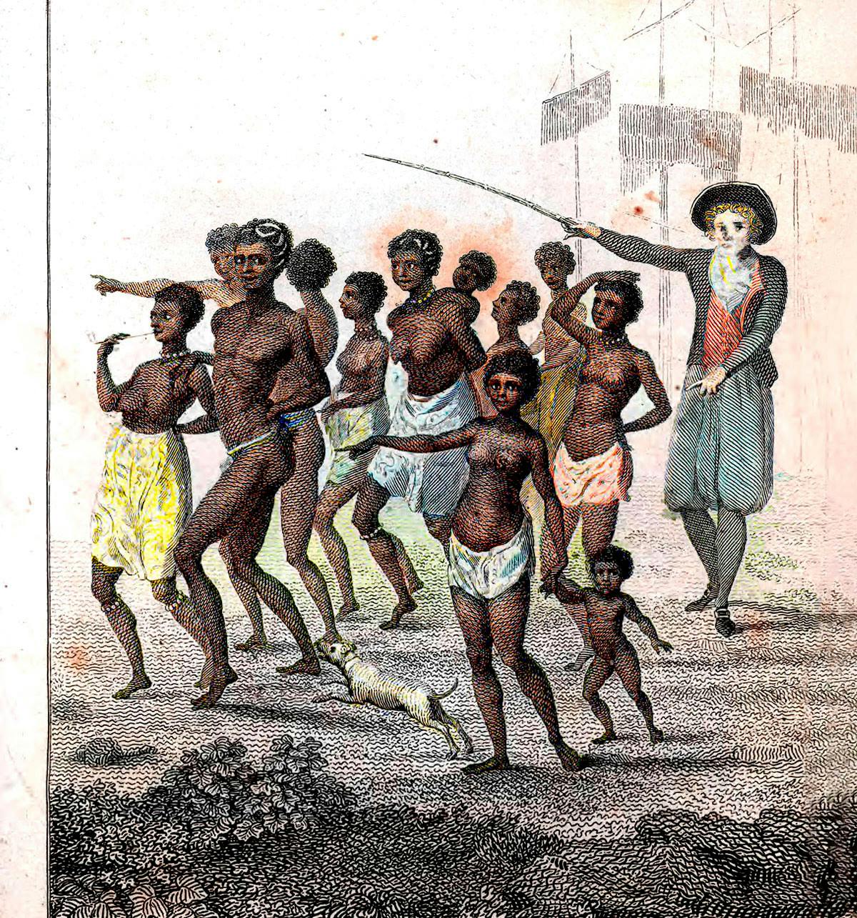 Koloni | Svensk adel Koloni | Svensk adel